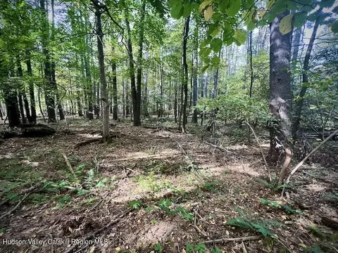 tbd Whiteport Rd, Kingston, NY 12401 photo 6