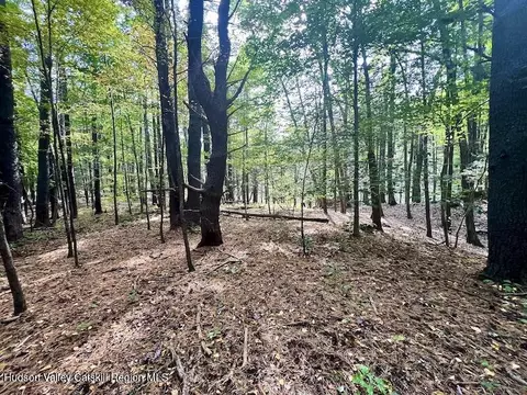 tbd Whiteport Rd, Kingston, NY 12401 photo 3