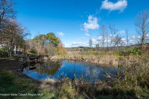 View/Area - 7 Birch Hill Rd, Craryville, NY 12521 photo 3 of 3