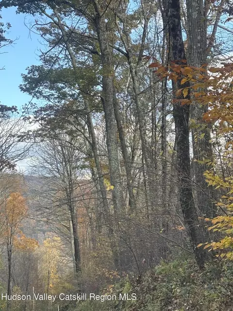0 Carson Rd, Ancram, NY 12502 photo 4
