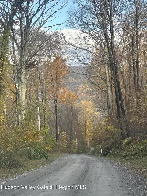 0 Carson Rd, Ancram, NY 12502 photo 5
