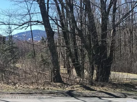 0 Goshen St, Jewett, NY 12444