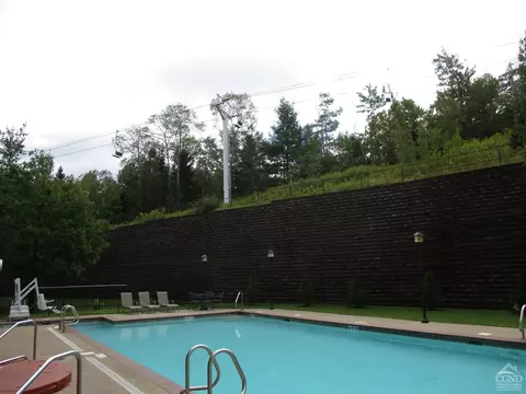 62 Liftside Dr #429 ALL 4, Hunter, NY 12442