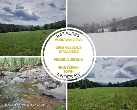 tbd Lower Dingle Hill Rd, Andes, NY 13731
