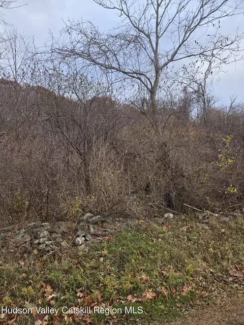 0 Farm Rd, Copake, NY 12516 photo 4
