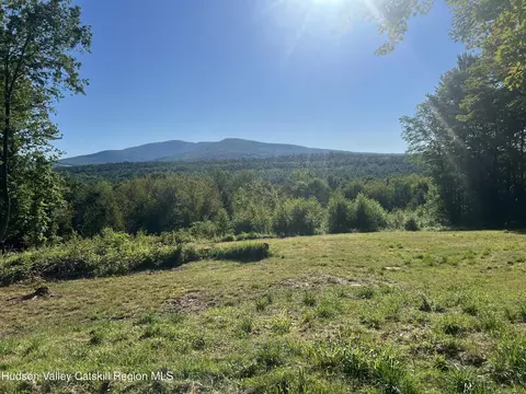 0 Blueberry Est, Prattsville, NY 12468