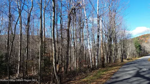 0 High Peak #LOT 111-112, Windham, NY 12496 photo 16