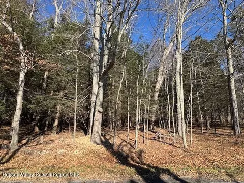 tbd Park Rd, Lexington, NY 12452