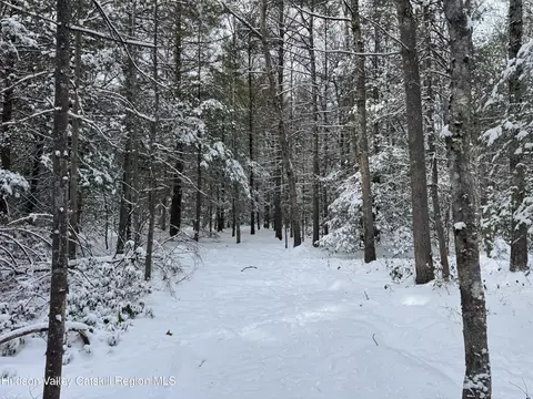 171 Renner Rd, Mountain Dale, NY 12763