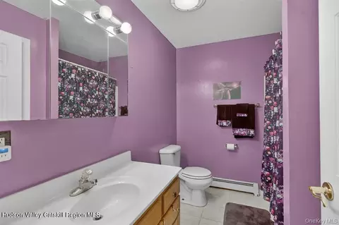 Bath - 15 Wright Ave, Hyde Park, NY 12538 photo 3 of 3