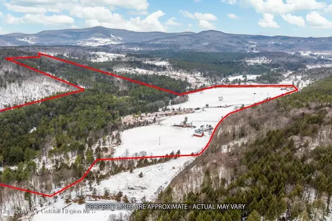 View/Area - 351 N Settlement Rd, Ashland, NY 12407 photo 3 of 4