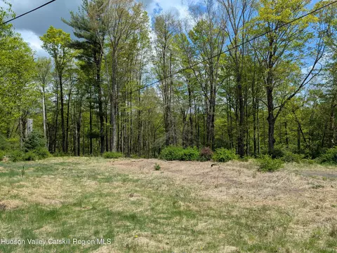 6 Birch Knoll Ln, Olivebridge, NY 12461