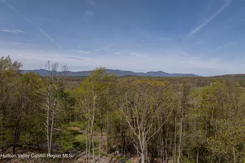 Other - 120 Cauterskill Ave, Catskill, NY 12414 photo 15 of 15