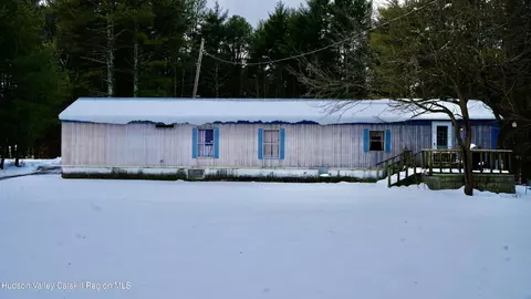 95 Pine Tree Ln, Cairo, NY 12413 photo 19