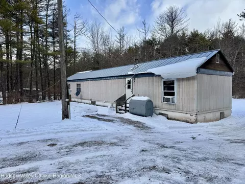 95 Pine Tree Ln, Cairo, NY 12413 photo 2
