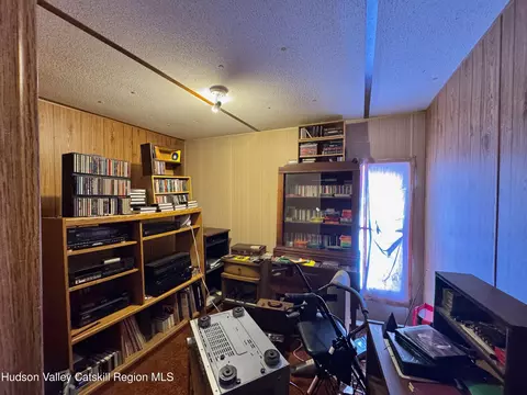 95 Pine Tree Ln, Cairo, NY 12413 photo 10