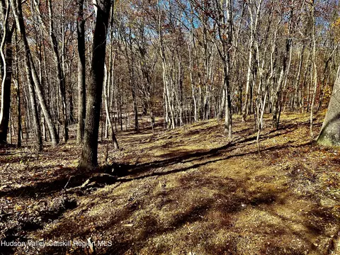 0000 Westfall Rd, Ancram, NY 12502 photo 14