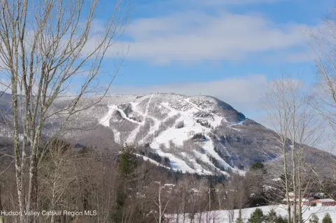 lot2 Ruth Ct, Hunter, NY 12442