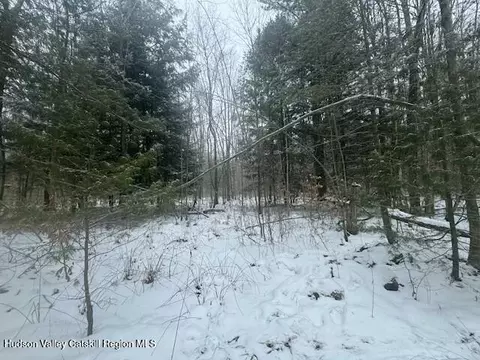 tbd County Route 84, Hastings, NY 13706