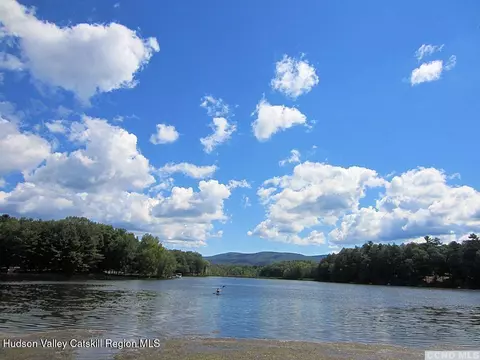 View/Area - 39 Island Dr, Copake, NY 12516 photo 2 of 8