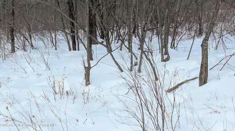 0 High Peak Road Lot 61 20, Windham, NY 12496