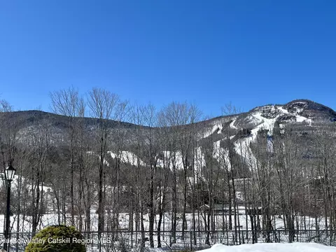 Other - 7625 Main St #A1, Hunter, NY 12442 photo 7 of 9