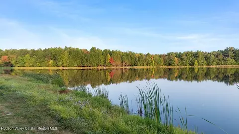 View/Area - 114 Conifer Lake Rd W, Jewett, NY 12444 photo 1 of 1