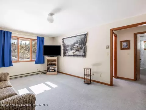 Other - 114 Conifer Lake Rd W, Jewett, NY 12444 photo 4 of 7