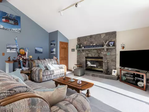 Living - 114 Conifer Lake Rd W, Jewett, NY 12444 photo 2 of 4