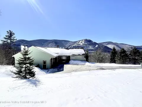 234 Botti Dr, Hunter, NY 12442