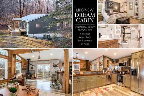 464 Curtis Lane Ln, Hamden, NY 13782