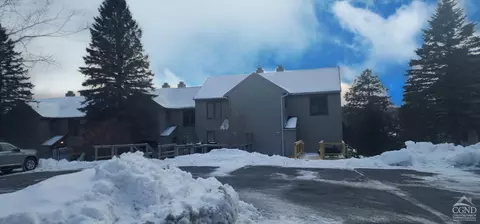 Other - 63 Windham Ridge Rd #16C, Windham, NY 12496 photo 6 of 7