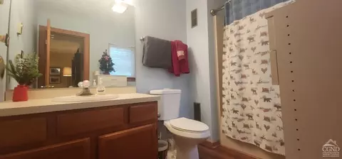 Bath - 63 Windham Ridge Rd #16C, Windham, NY 12496 photo 3 of 3