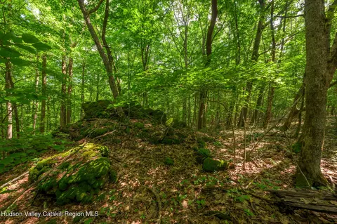 Other - 105 Norton Rd, Austerlitz, NY 12017 photo 5 of 26