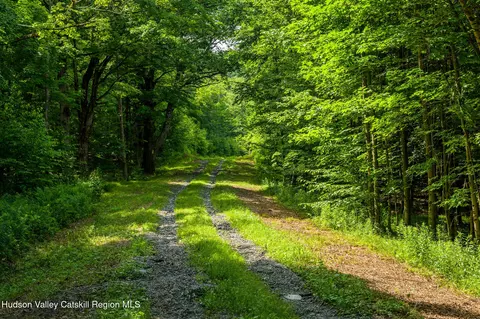 Other - 105 Norton Rd, Austerlitz, NY 12017 photo 19 of 26