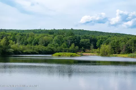 View/Area - 105 Norton Rd, Austerlitz, NY 12017 photo 13 of 19