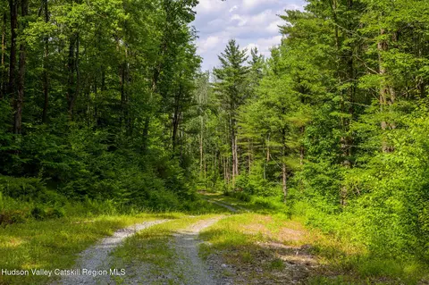 Other - 105 Norton Rd, Austerlitz, NY 12017 photo 18 of 26