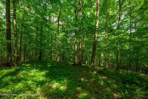 Other - 105 Norton Rd, Austerlitz, NY 12017 photo 4 of 26