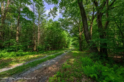 Other - 105 Norton Rd, Austerlitz, NY 12017 photo 1 of 26