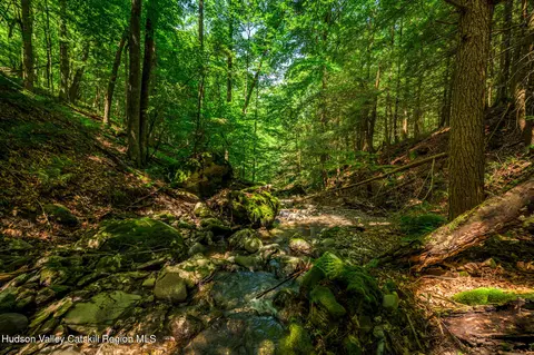 Other - 105 Norton Rd, Austerlitz, NY 12017 photo 11 of 26