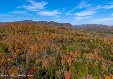 tbd Off North Lake Rd, Haines Falls, NY 12436