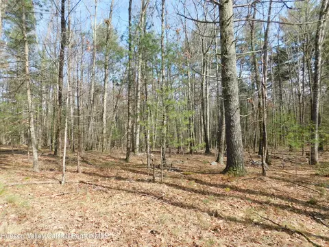 tbd Wright Rd, Kerhonkson, NY 12446 photo 7