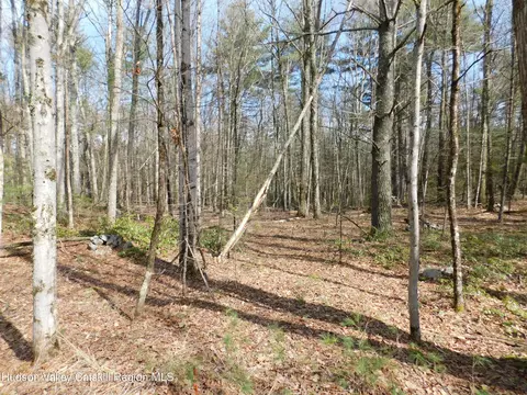 tbd Wright Rd, Kerhonkson, NY 12446 photo 11