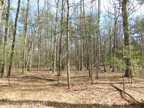 tbd Wright Rd, Kerhonkson, NY 12446 photo 12