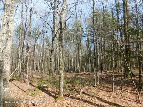 tbd Wright Rd, Kerhonkson, NY 12446 photo 10