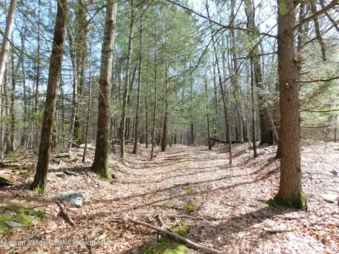 tbd Wright Rd, Kerhonkson, NY 12446 photo 9