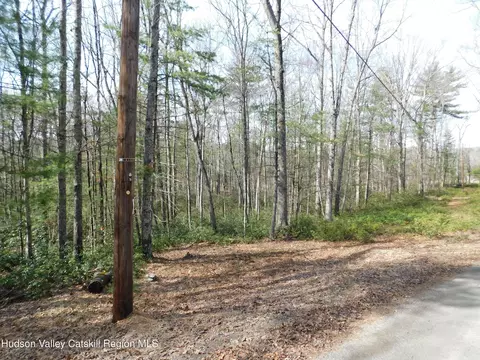 tbd Wright Rd, Kerhonkson, NY 12446 photo 4
