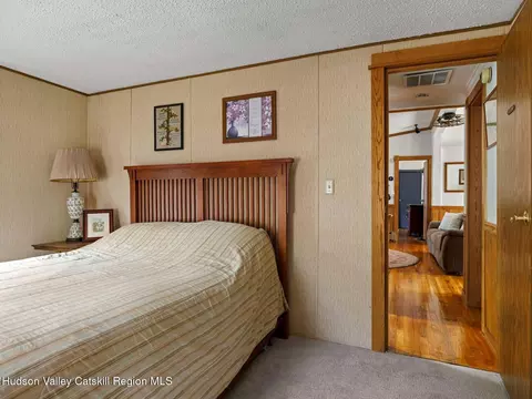 382 Cairo Junction Rd, Catskill, NY 12414 photo 30