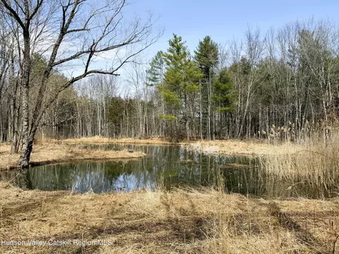 tbd Frank Hitchcock Rd, Cairo, NY 12413
