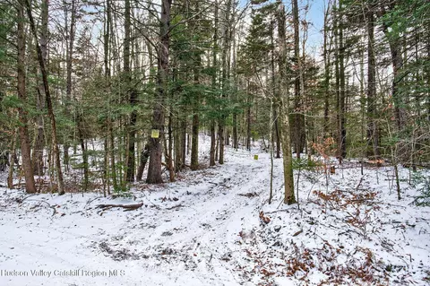 tbd Roaring Kill Rd, Elka Park, NY 12427